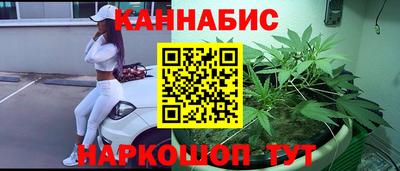 гашик Будённовск
