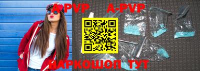 гашик Будённовск