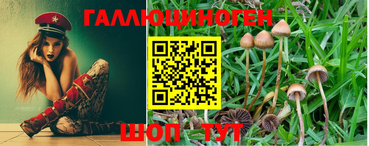Псилоцибиновые грибы Magic Shrooms  сколько стоит  Острогожск  Вход с VPN 